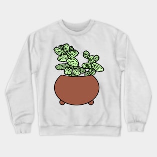 Augurkenplantje Delopsperma Echinatum Color Crewneck Sweatshirt